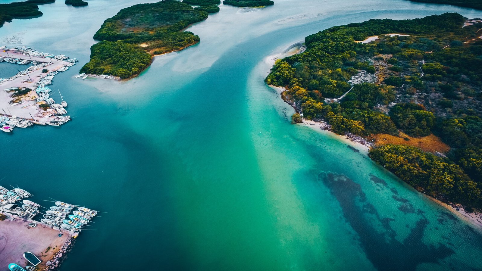 aerial photography of island